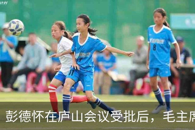 彭德怀在庐山会议受批后，毛主席提出与他谈谈，彭德怀却问：有什么好谈的？