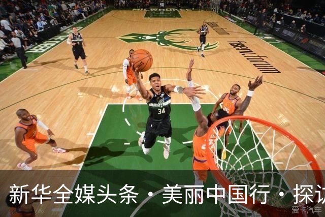新华全媒头条·美丽中国行·探访东北虎豹国家公园丨虎啸山林 万物并育——东北虎豹国家公园的生态蝶变之路