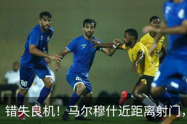 错失良机！马尔穆什近距离射门，太正了被扑出